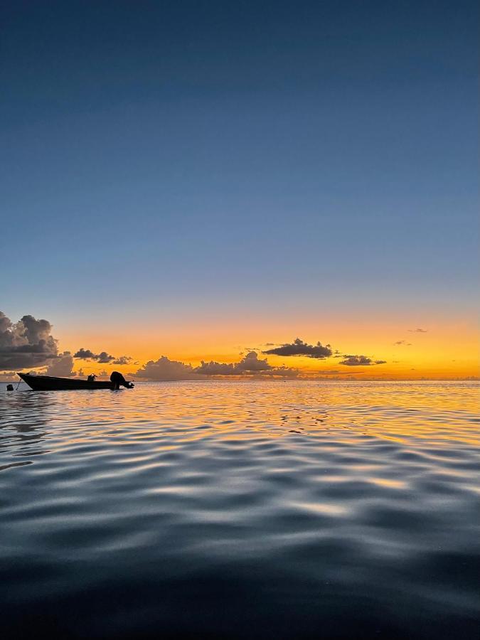 Sunset Appart, T2 Avec Vue Mer Et Plage A 1 Km Le Carbet Luaran gambar