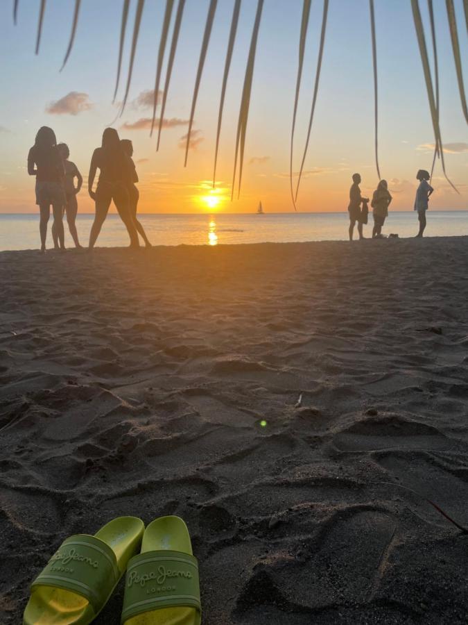 Sunset Appart, T2 Avec Vue Mer Et Plage A 1 Km Le Carbet Luaran gambar